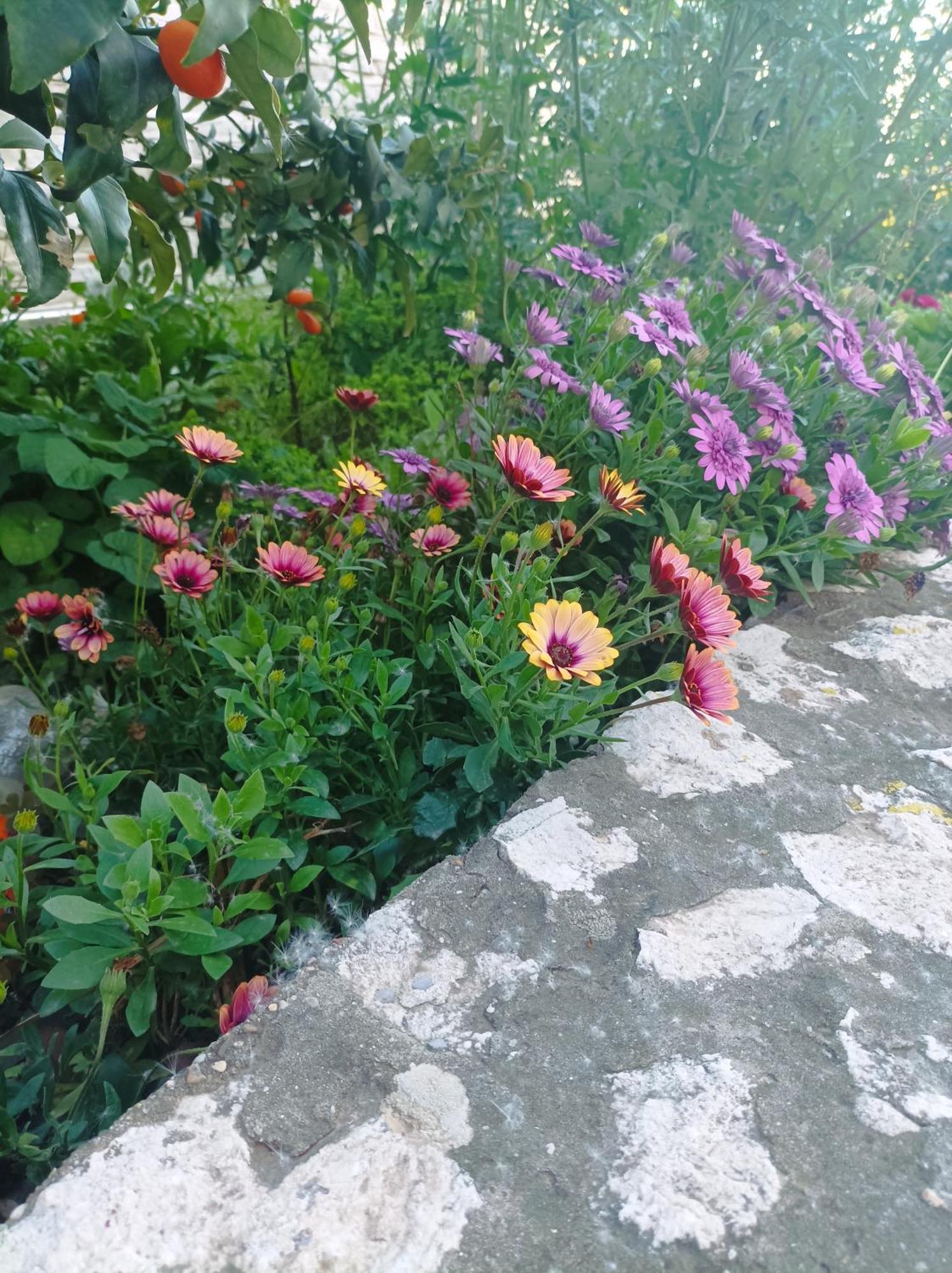 Dva Lava Appartement Podaca Buitenkant foto