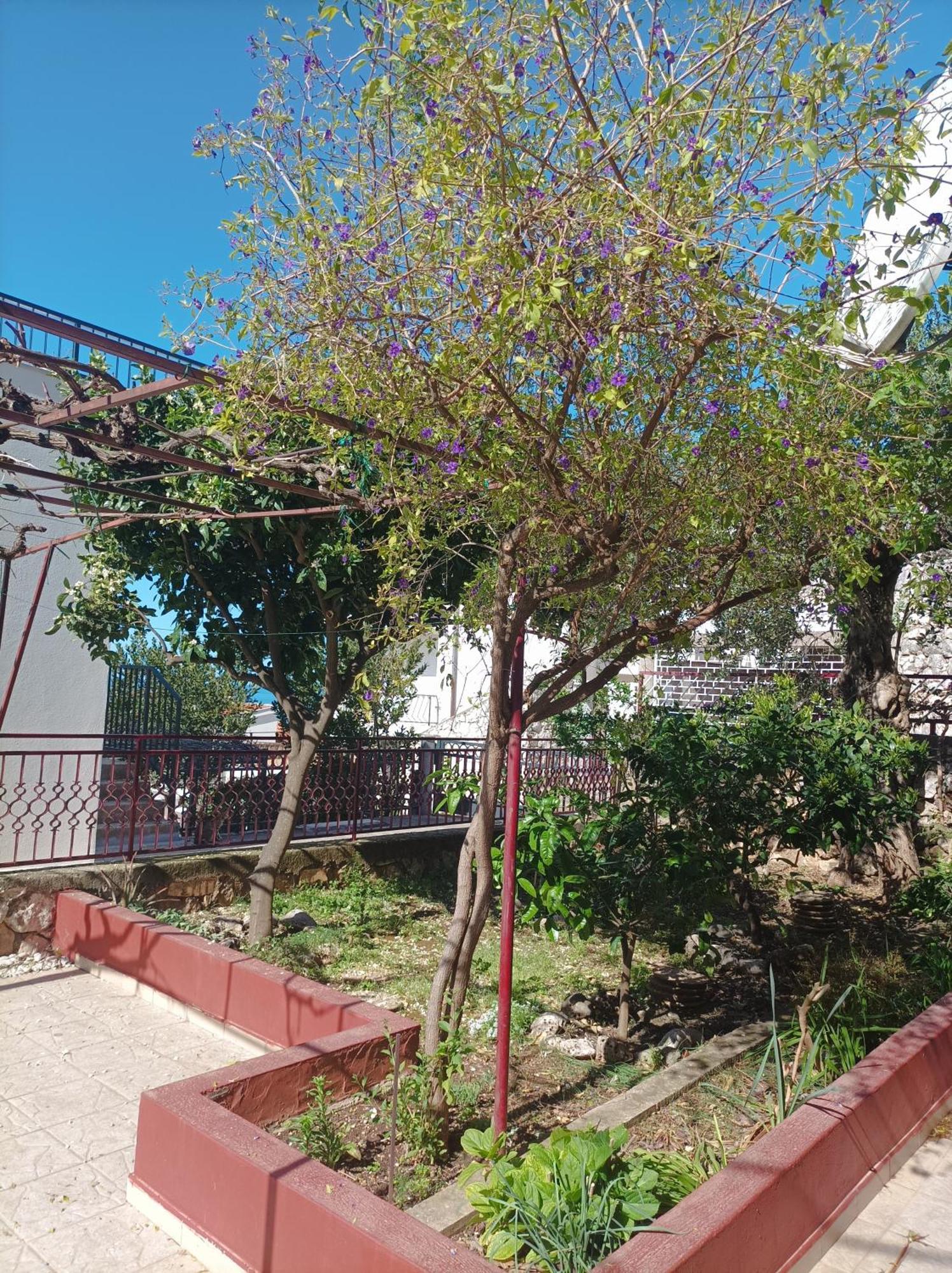 Dva Lava Appartement Podaca Buitenkant foto